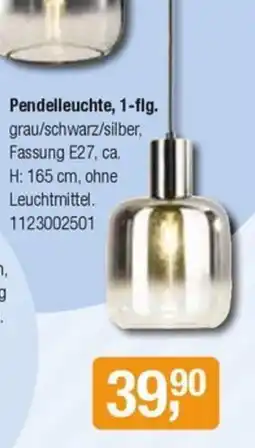Opti Wohnwelt Pendelleuchte, 1-flg. grau/schwarz/silber Angebot