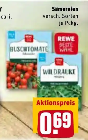 REWE Samereien Angebot