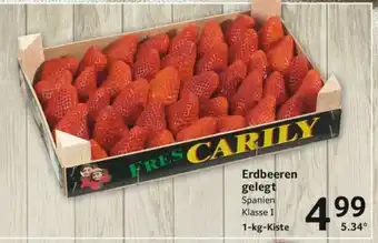 Selgros Erdbeeren 1kg Angebot