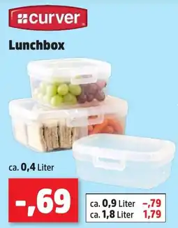 Thomas Philipps curver Lunchbox Angebot