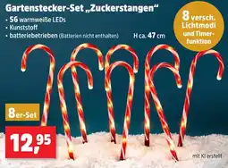 Thomas Philipps Gartenstecker-Set „Zuckerstangen“ Angebot