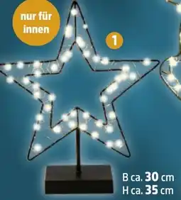 Thomas Philipps LED-Deko Stern Angebot