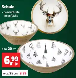 Thomas Philipps Schale Angebot