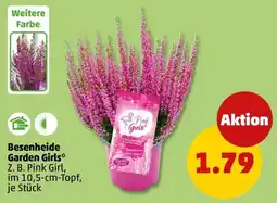 PENNY Besenheide Garden Girls* Angebot