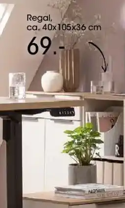 Möbel Martin Regal Angebot