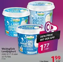 Selgros Weideglück Landjoghurt Angebot