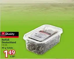Selgros Quality Beifuß Deutschland Angebot