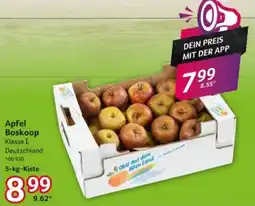 Selgros Apfel Boskoop Angebot