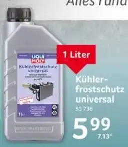 Selgros LIQUI MOLY Kühlerfrostschutz universal Angebot