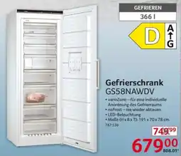 Selgros Gefrierschrank GS58NAWDV Angebot
