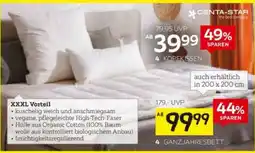 XXXLutz CENTA-STAR 4 KOPFKISSEN Angebot