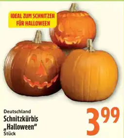 inkoop Schnitzkürbis "Halloween" Angebot