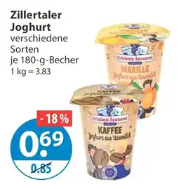 V Markt Zillertaler Joghurt Angebot