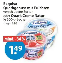 V Markt Exquisa Quarkgenuss mit Früchten Angebot