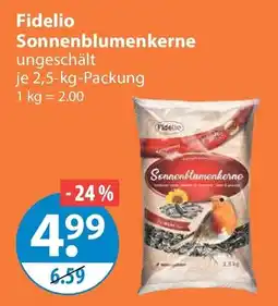 V Markt Fidelio Sonnenblumenkerne ungeschält Angebot