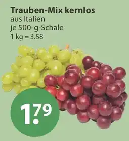 V Markt Trauben-Mix kernlos Angebot