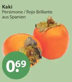 V Markt Kaki Persimone / Rojo Brillante Angebot