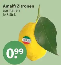 V Markt Amalfi Zitronen Angebot