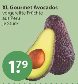 V Markt XL Gourmet Avocados Angebot