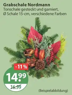 V Markt Grabschale Nordmann Angebot