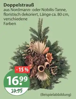 V Markt Doppelstrauss Angebot