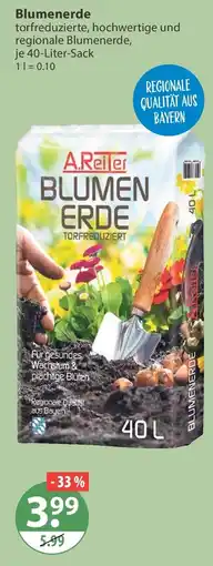 V Markt A.Reiter Blumen Erde Angebot