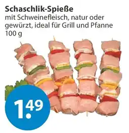 V Markt Schaschlik-Spieße Angebot
