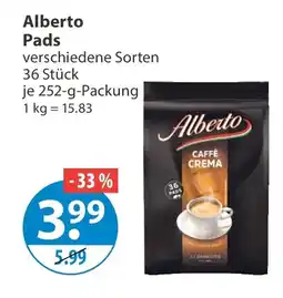 V Markt Alberto Pads Angebot