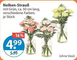 V Markt Nelken-Strauß Angebot