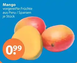 V Markt Mango Angebot