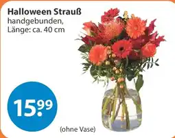V Markt Halloween Strauß Angebot
