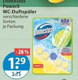V Markt Domestos WC-Duftspüler Angebot