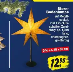 Repo Markt Stern-Bodenlampe Angebot