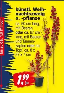 Repo Markt künstl. Weihnachtszweig o.-pflanze Angebot