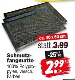 Repo Markt Schmutzfangmatte Angebot