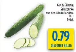 diska Salatgurke Angebot