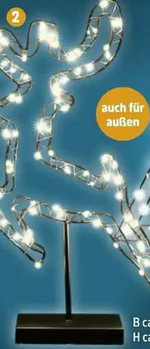 Thomas Philipps LED-Deko Rentier Angebot