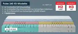 Zurbrüggen Schlaraffia Pulse 240 KS-Modelle Angebot