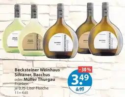 V Markt Becksteiner Weinhaus Silvaner, Bacchus oder Müller Thurgau Angebot