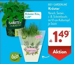 Aldi Süd Kräuter / BIO / GARDENLINE Angebot