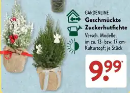 Aldi Süd GARDENLINE Geschmückte Zuckerhutfichte Angebot