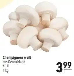 CITTI Markt Champignons weiß Angebot