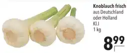 CITTI Markt Knoblauch frisch Angebot