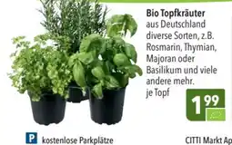 CITTI Markt Bio Topfkräuter Angebot