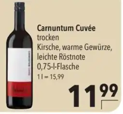 CITTI Markt Carnuntum Cuvée Angebot