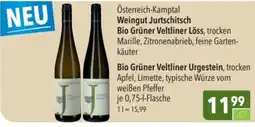 CITTI Markt Weingut Jurtschitsch Bio Grüner Veltliner Angebot