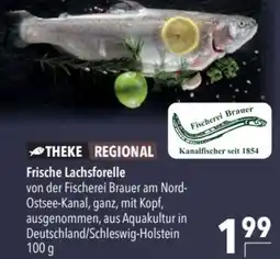 CITTI Markt Frische Lachsforelle von der Fischerei Brauer Angebot