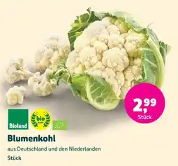 Biomarkt Blumenkohl Angebot