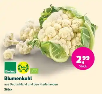 Blumenkohl