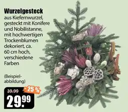 V Baumarkt Wurzelgesteck Angebot